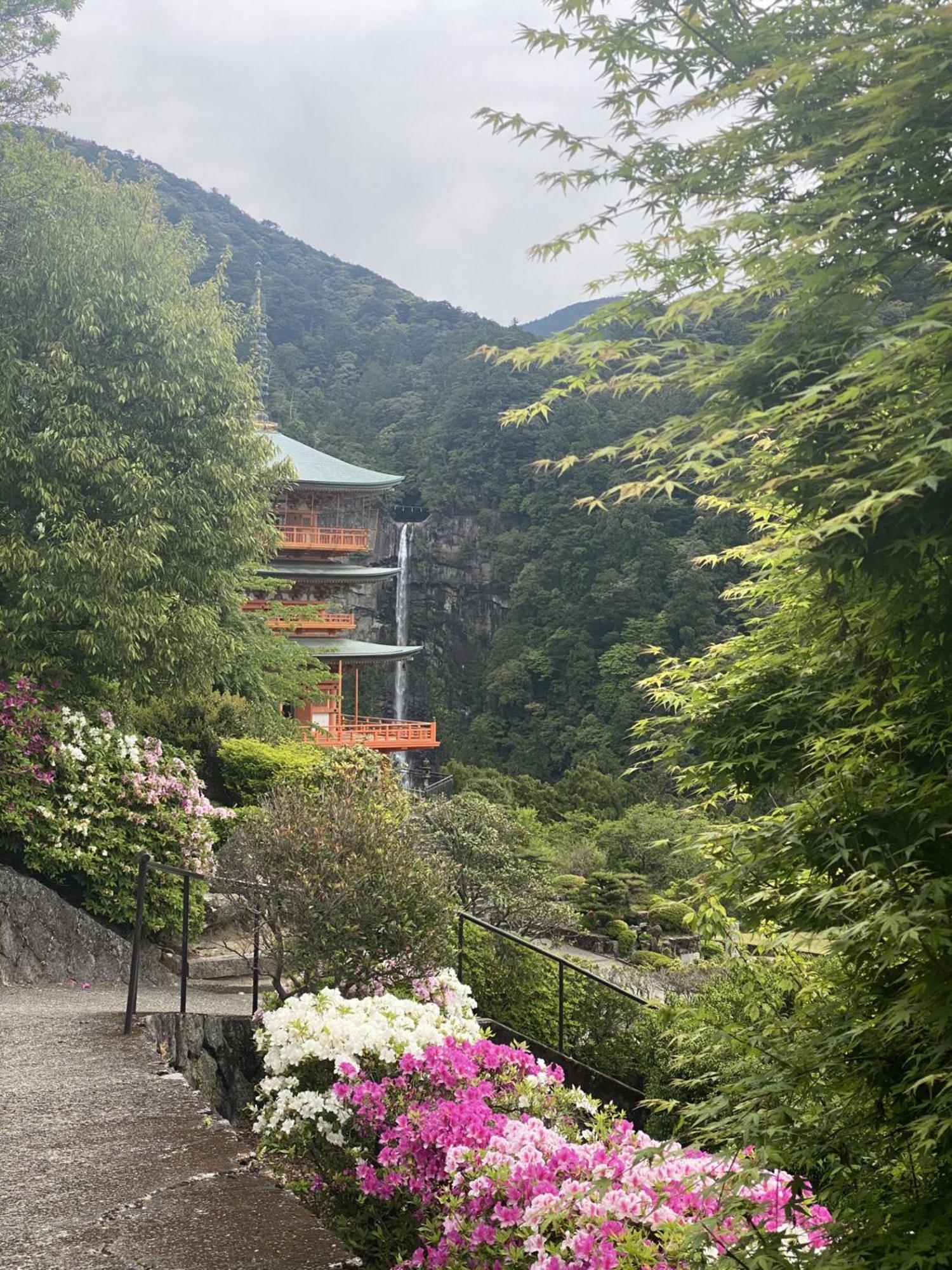 癒し宿 かぐら 쿠시모토 외부 사진